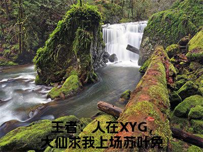 王者：人在XYG，大仙求我上场苏叶(王者：人在XYG，大仙求我上场苏叶)全文免费阅读无弹窗大结局_ 王者：人在XYG，大仙求我上场苏叶免费阅读最新章节列表_笔趣阁