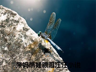 亲妈带娃眼泪汪汪小说（虞苏祁夜）全文免费阅读无弹窗大结局-虞苏祁夜最新热点小说