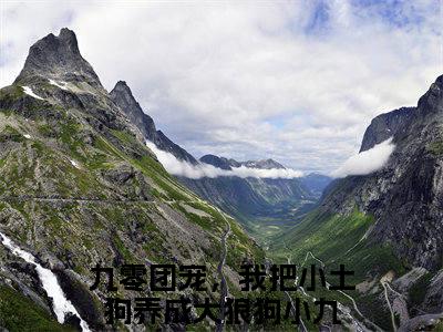 九零团宠，我把小土狗养成大狼狗小九免费阅读（九零团宠，我把小土狗养成大狼狗小九）全文免费阅读无弹窗大结局_九零团宠，我把小土狗养成大狼狗小九免费阅读最新章节列表_笔趣阁（九零团宠，我把小土狗养成大狼狗小九）