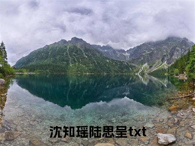 梦回前世，带着空间宠兵王全文免费阅读无弹窗大结局_（沈知瑶陆思呈无弹窗）梦回前世，带着空间宠兵王全文阅读最新章节列表笔趣阁