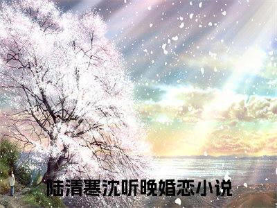 （陆清寒沈听晚）小说免费阅读-陆清寒沈听晚全文无弹窗阅读