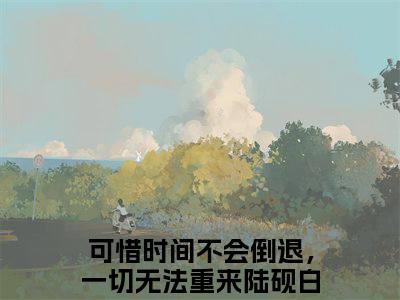 陆砚白冷虞（可惜时间不会倒退，一切无法重来小说）全文免费阅读无弹窗大结局_可惜时间不会倒退，一切无法重来完整版小说阅读