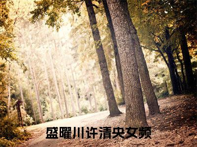 盛曜川许清央小说大结局免费阅读（盛曜川许清央）-完结版盛曜川许清央小说免费阅读