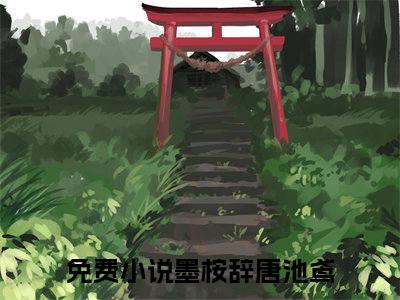 墨桉辞唐池鸢小说（墨桉辞唐池鸢）全文免费阅读_墨桉辞唐池鸢小说最新章节列表笔趣阁小说