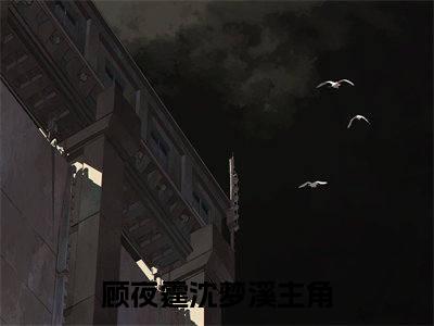 顾夜霆沈梦溪全文免费阅读无弹窗大结局_(顾夜霆沈梦溪免费阅读)顾夜霆沈梦溪最新章节列表_笔趣阁