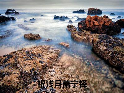 精选好书（祝浅月萧宁铎），祝浅月萧宁铎全文无删减版在线阅读