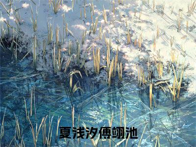 夏浅汐傅翊池小说在哪里可以看-新上热文夏浅汐傅翊池(夏浅汐傅翊池)小说全章节最新阅读