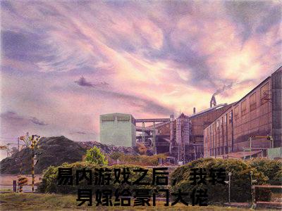 （热推新书）《易内游戏之后，我转身嫁给豪门大佬》全文免费阅读无弹窗大结局_陆南琛姜琳无弹窗全文阅读