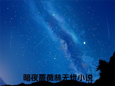 暗夜蔷薇林无忧小说（暗夜蔷薇林无忧）全文免费阅读无弹窗_暗夜蔷薇林无忧高赞小说免费阅读笔趣阁