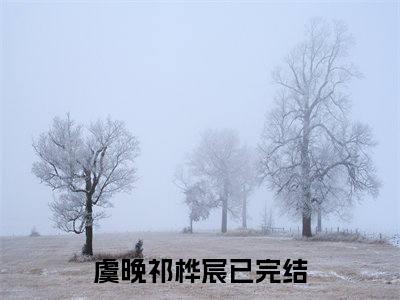 虞晚祁桦宸(虞晚祁桦宸)全文免费阅读无弹窗大结局_(虞晚祁桦宸)虞晚祁桦宸小说免费阅读最新章节列表笔趣阁（虞晚祁桦宸）