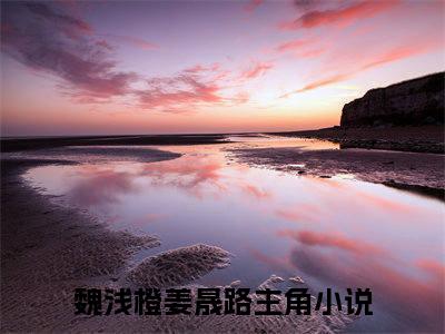 魏浅橙姜晟路小说免费(魏浅橙姜晟路)全文免费阅读无弹窗（魏浅橙姜晟路小说）最新章节列表_笔趣阁