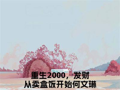 重生2000，发财从卖盒饭开始何文琳小说精选片段阅读-重生2000，发财从卖盒饭开始何文琳小说免费版最新更新阅读