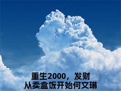 重生2000，发财从卖盒饭开始何文琳全文免费阅读无弹窗大结局-重生2000，发财从卖盒饭开始何文琳小说在哪里可以看