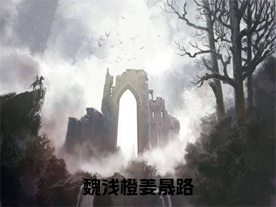 魏浅橙姜晟路(魏浅橙姜晟路)全文在线阅读无弹窗大结局_魏浅橙姜晟路全文无弹窗最新章节列表_笔趣阁