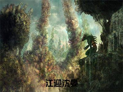 《江迎沈晏》全文免费阅读最新章节大结局-江迎沈晏无弹窗阅读