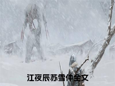 全网热搜小说（江夜辰苏雪仲）的小说完整版免费阅读 主角是江夜辰苏雪仲无弹窗免费阅读