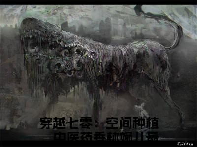 （穿越七零：空间种植，中医药香林婉儿）全文无弹窗阅读-小说主角叫什么穿越七零：空间种植，中医药香林婉儿