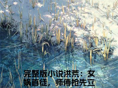 （陆风）全文免费阅读无弹窗大结局_（洪荒：女娲首徒，师傅抢先立人教）章节列表_笔趣阁