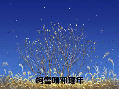 抖音热推柯雪晴祁瑾年无弹窗阅读柯雪晴祁瑾年小说免费阅读无弹窗