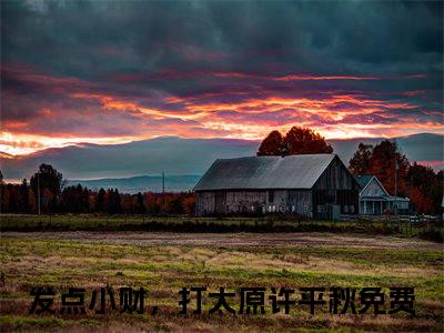 发点小财，打太原许平秋（发点小财，打太原许平秋）小说全文完整版免费阅读-发点小财，打太原许平秋小说最新章节免费阅读