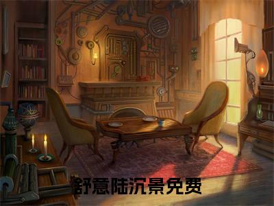 舒意陆沉景的小说全文免费阅读无弹窗大结局-《舒意陆沉景》完整章节阅读