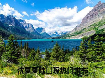 沈夏夏陆璟琛（沈夏夏陆璟琛）全文免费阅读无弹窗大结局_沈夏夏陆璟琛全文免费阅读