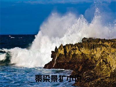 秦染景犷（秦染景犷)全文免费阅读无弹窗大结局_秦染景犷全文免费阅读_笔趣阁（秦染景犷）