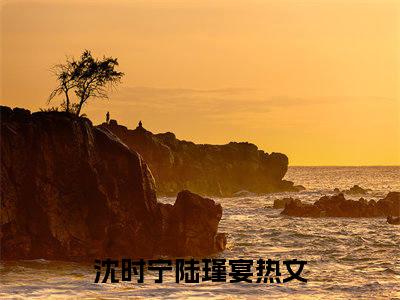 沈时宁陆瑾宴（沈时宁陆瑾宴）全文免费阅读大结局-沈时宁陆瑾宴最新章节列表免费阅读大结局