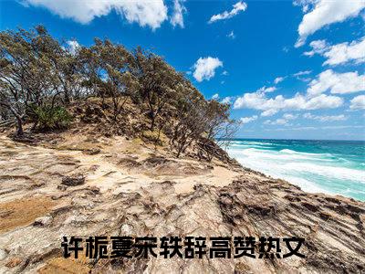 许栀夏宋轶辞小说免费阅读-精选许栀夏宋轶辞小说大结局阅读