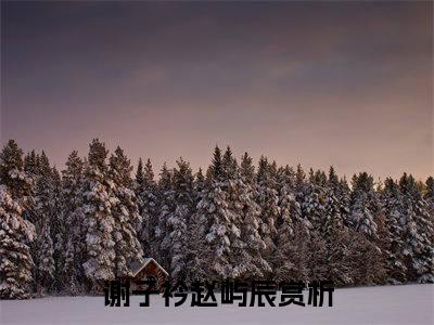 谢子衿赵屿辰全文（谢子衿赵屿辰）全文免费阅读无弹窗大结局_（谢子衿赵屿辰全文）谢子衿赵屿辰全文最新章节列表_笔趣阁（谢子衿赵屿辰全文）