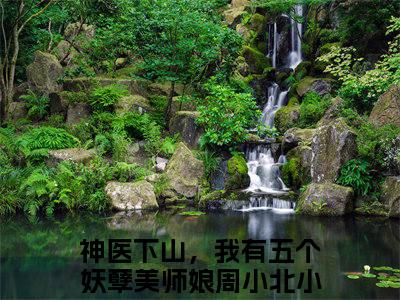 神医下山，我有五个妖孽美师娘周小北小说_神医下山，我有五个妖孽美师娘周小北全文阅读 神医下山，我有五个妖孽美师娘周小北小说免费阅读笔趣阁