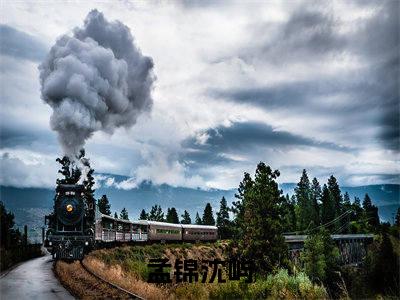 孟锦沈屿小说免费阅读-精选好书孟锦沈屿