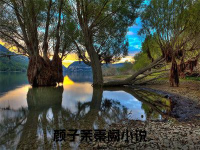 颜子茉秦阙（颜子茉秦阙）免费阅读完整版-颜子茉秦阙全文大结局已完结