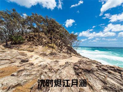 沈时烬江月澜(沈时烬江月澜)全文免费阅读无弹窗大结局_(沈时烬江月澜)小说免费阅读无弹窗最新章节列表_笔趣阁