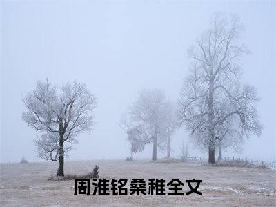 周淮铭桑稚高赞小说完结阅读（周淮铭桑稚全文免费阅读）_周淮铭桑稚全文免费阅读