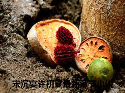 《宋沉宴许初夏》全文免费阅读无弹窗大结局-宋沉宴许初夏 全文全章节免费阅读