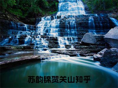 苏韵锦贺关山(苏韵锦贺关山)全文免费阅读无弹窗大结局_苏韵锦贺关山最新章节列表