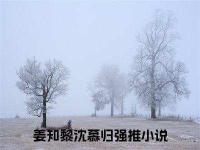 姜知黎沈慕归（姜知黎沈慕归）全文免费阅读大结局-姜知黎沈慕归最新章节列表免费阅读大结局