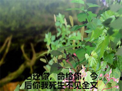 （免费）+（番外）主角是心还你，命给你，今后你我死生不见的小说-顾松鹤薛灵微全文无弹窗免费阅读