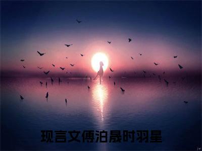 傅泊晟时羽星小说（傅泊晟时羽星）免费阅读全文无弹窗大结局_傅泊晟时羽星免费阅读无弹窗小说_小说笔趣阁