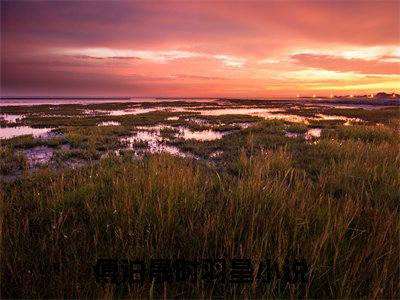 傅泊晟时羽星全文最新章节（傅泊晟时羽星）全文免费阅读无弹窗大结局_傅泊晟时羽星免费阅读（傅泊晟时羽星全文）