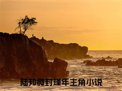 陆知微封瑾年最新章节免费阅读-陆知微封瑾年全文无弹窗试读