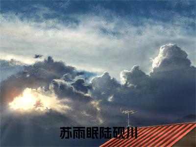 小说完整版苏雨眠陆砚川大结局-苏雨眠陆砚川是什么书《苏雨眠陆砚川》