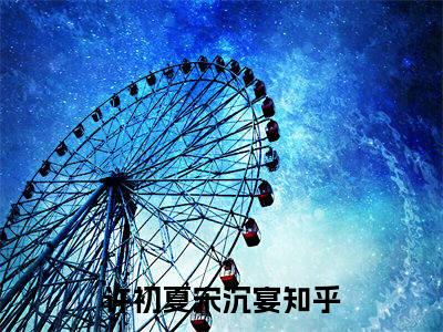 许初夏宋沉宴（许初夏宋沉宴）全文免费阅读无弹窗大结局-许初夏宋沉宴最新章节列表免费阅读