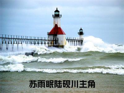 苏雨眠陆砚川小说（苏雨眠陆砚川）全文免费阅读无弹窗大结局_苏雨眠陆砚川小说最新章节列表