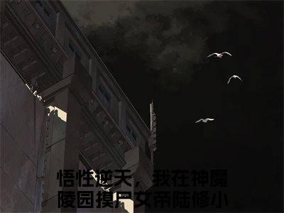 （悟性逆天，我在神魔陵园摸尸女帝陆修）全文免费阅读无弹窗大结局_悟性逆天，我在神魔陵园摸尸女帝陆修最新章节列表_笔趣阁