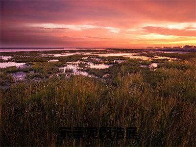 宋菁宛顾浩庭小说（宋菁宛顾浩庭）无弹窗大结局- 宋菁宛顾浩庭全文阅读