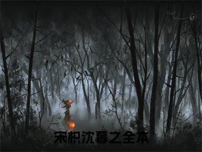 宋枳沈暮之（宋枳沈暮之）小说全文免费阅读无弹窗-宋枳沈暮之小说全文免费阅读最新章节列表笔趣阁