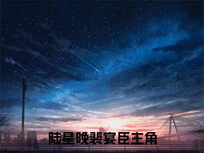 陆星晚裴宴臣在线阅读无弹窗_陆星晚裴宴臣最新章节列表_笔趣阁