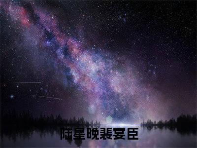 陆星晚裴宴臣高赞小说完结阅读（陆星晚裴宴臣全文免费阅读）_陆星晚裴宴臣全文免费阅读